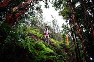 BIB: 
                            <button type="button" onclick="openModal(26205350)" class="btn btn-primary btn-sm float-right btn-popup" data-toggle="modal" data-target=".modal-high-quality">
                        <i class="fas fa-shopping-cart"></i> Add to Cart
                    </button>
                                            <button type="button" onclick="isThisMe(26205350, true)" class="btn btn-success btn-sm float-right btn-popup btn-isme hidden" data-toggle="tooltip" data-placement="bottom" title="นี่คือรูปของคุณใช่ไหม คลิกที่นี่เพื่อเอาเข้าอัลบั้ม">
                        <i class="fas fa-plus"></i> Add to album
                    </button>
                    <button type="button" onclick="isThisMe(26205350, false)" class="btn btn-warning btn-sm float-right btn-popup btn-isnotme hidden">
                        <i class="fas fa-ban"></i> Remove from album
                    </button>